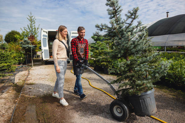 Professional Tree Care Services in North Bay Shore, NY